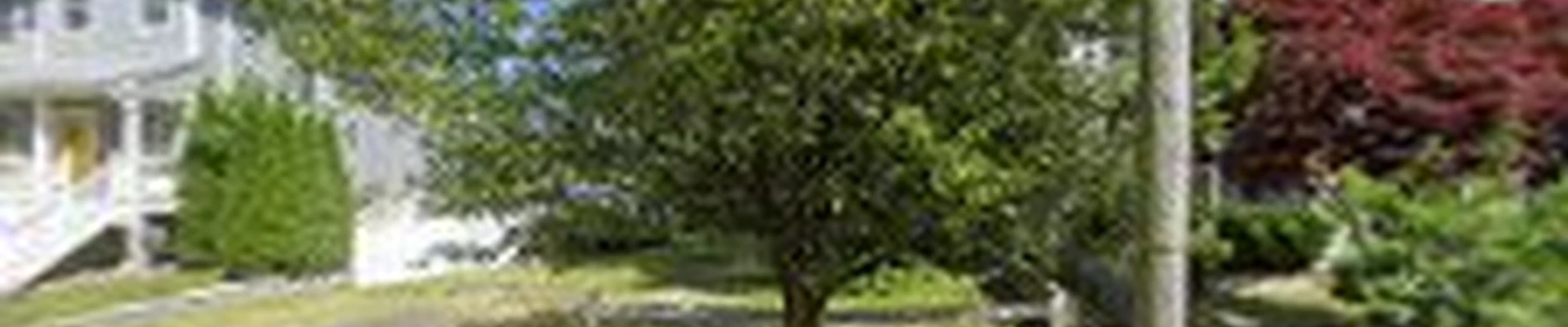 Leonardo Contracting LLC