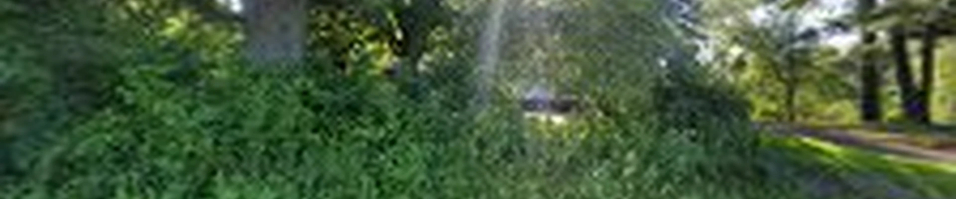 North Metro Home Services LLC