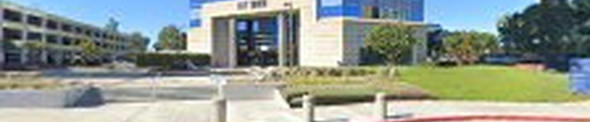 Rhino Rooter Plumbing