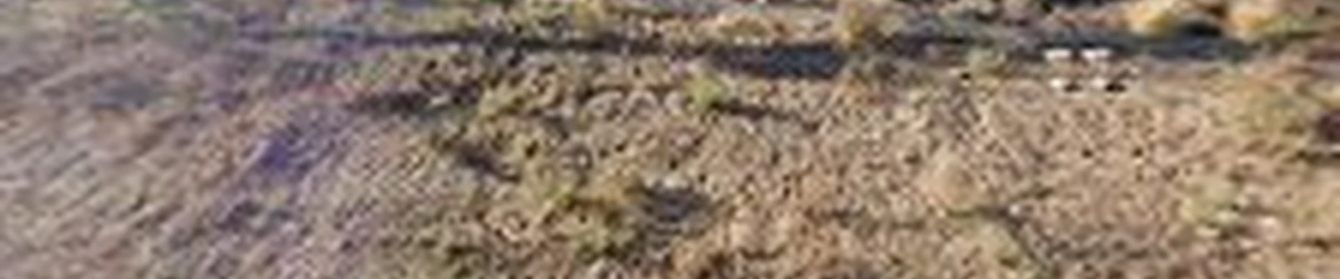 Vera Plumbing and Drain LLC