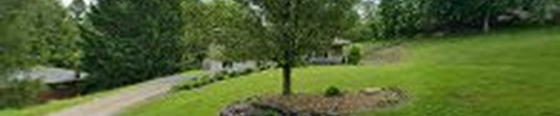 Lauderbaugh Plumbing & Heating Inc.