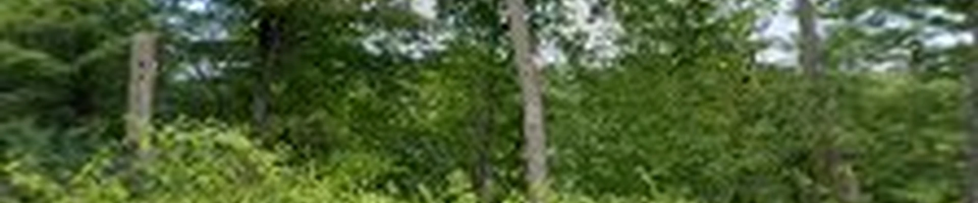 NuView Remodeling LLC