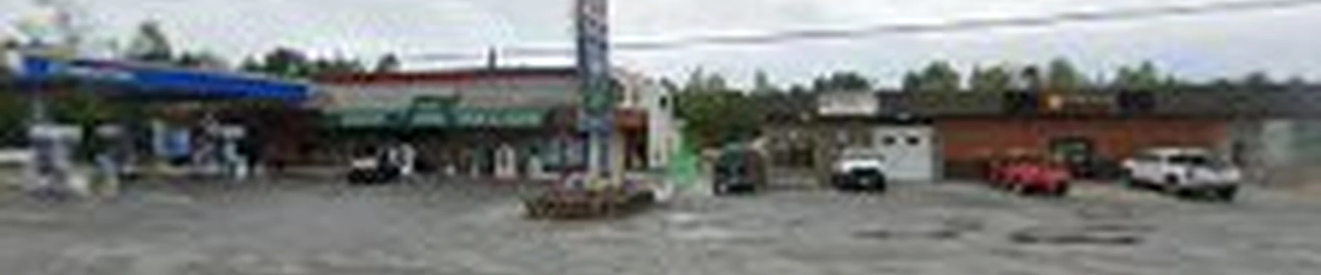 Courtesy Flush -- Sewers and Drains