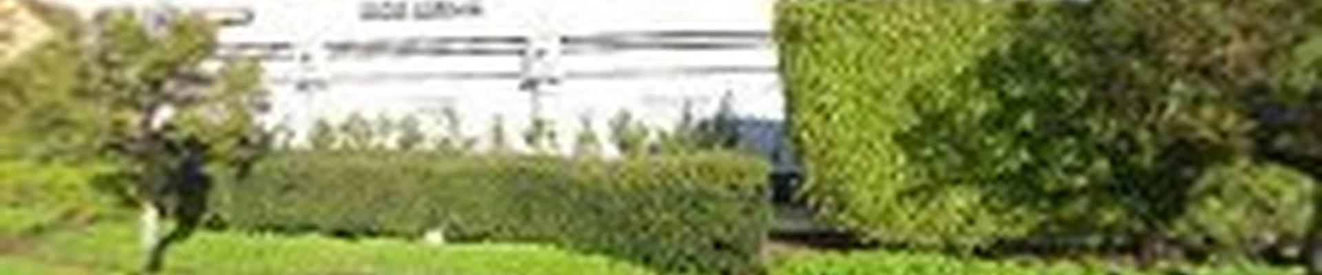 Pro Plumber Laguna Niguel CA
