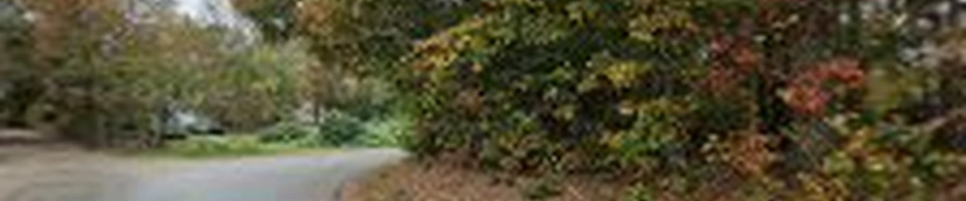 Russell Plumbing & Trenching