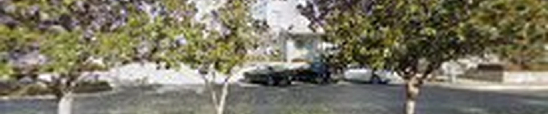 Redwood Plumbing & Water Heaters
