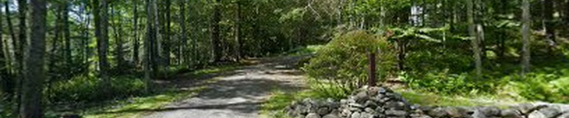Rick Geyster Jr Plumbing