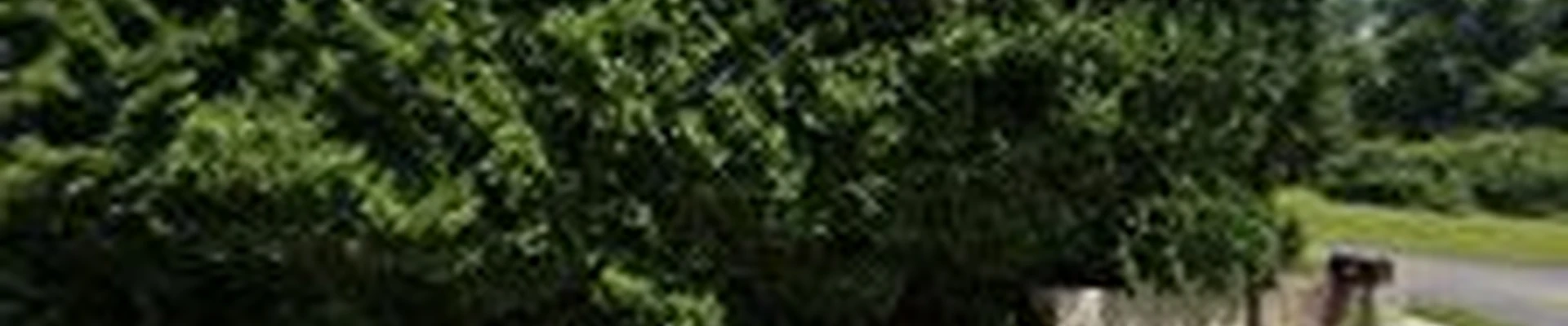 Trinity Irrigation Inc