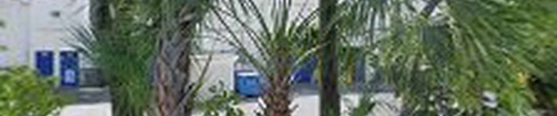 South Florida Plumbing And Backflow LLC