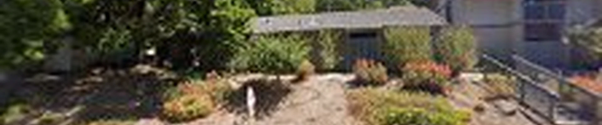 Roto-Rooter Plumbing & Water Cleanup