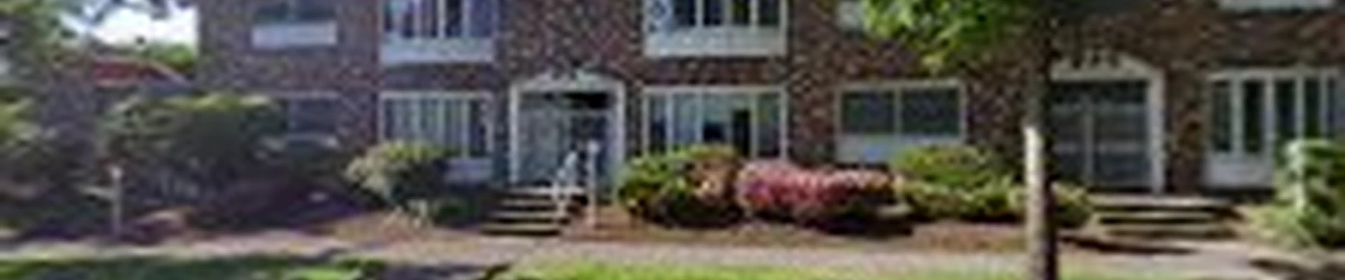 Proline Plumbing and Sewer