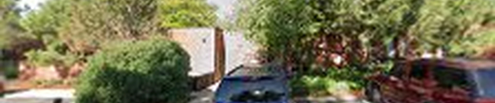 Lion Home Service Greeley