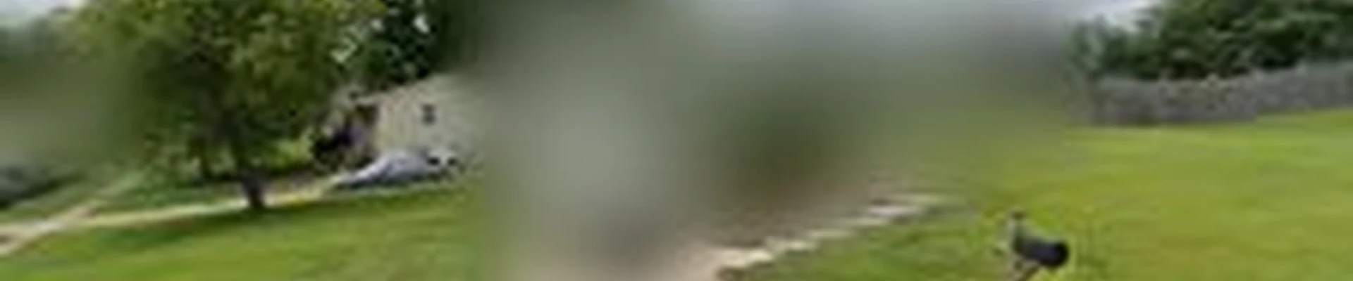 &