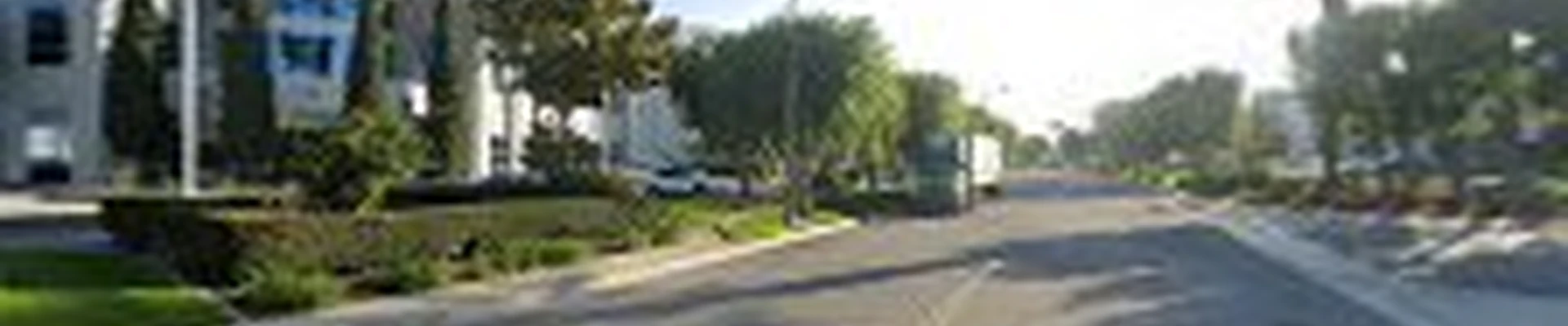 Nelson & Associates