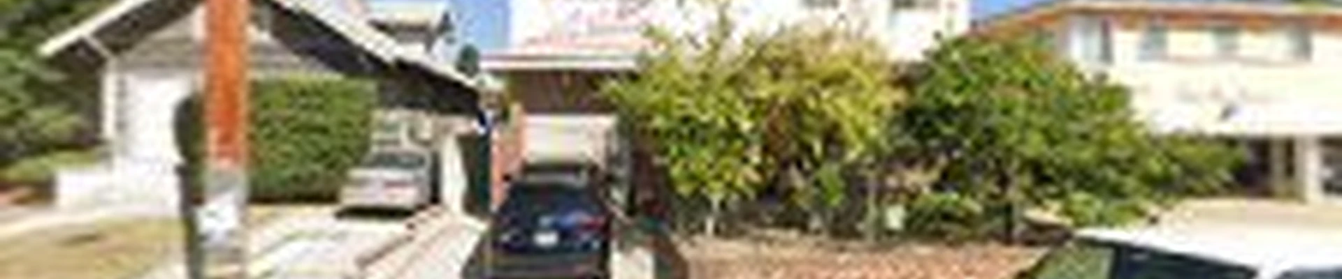 Alexis Electric Co