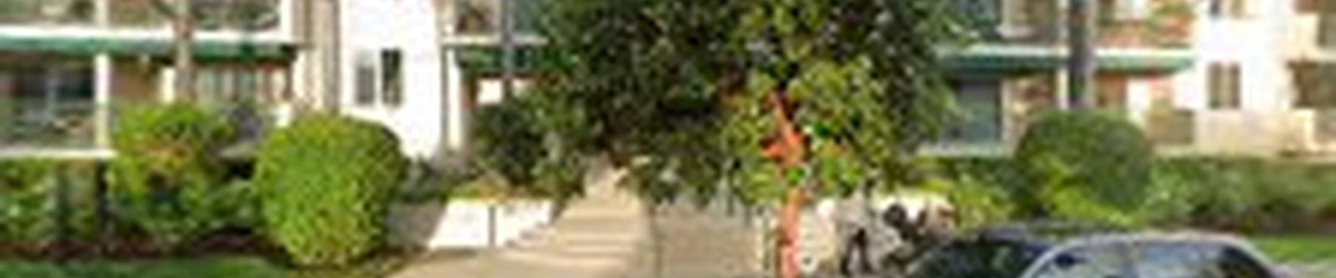 Wood, stone & steel construction corp.