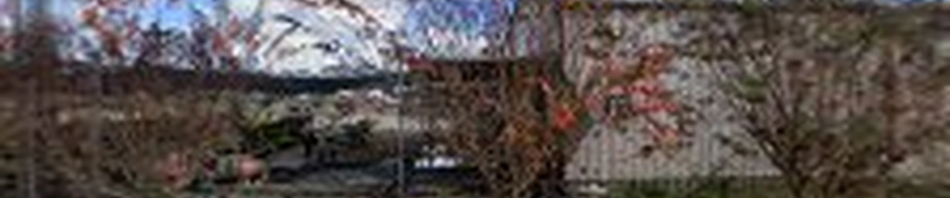 McDowell Fence & Electric, LLC TECL 26808