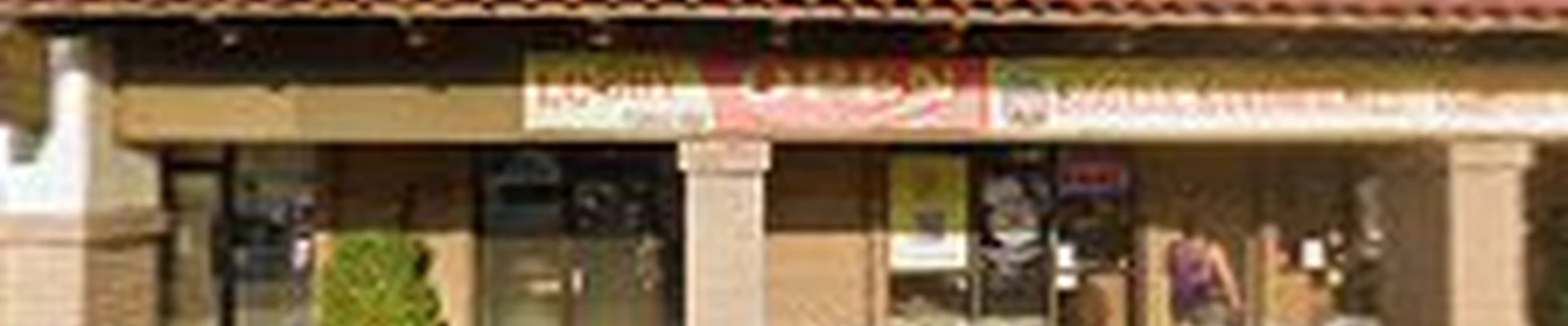 Force Electric Inc