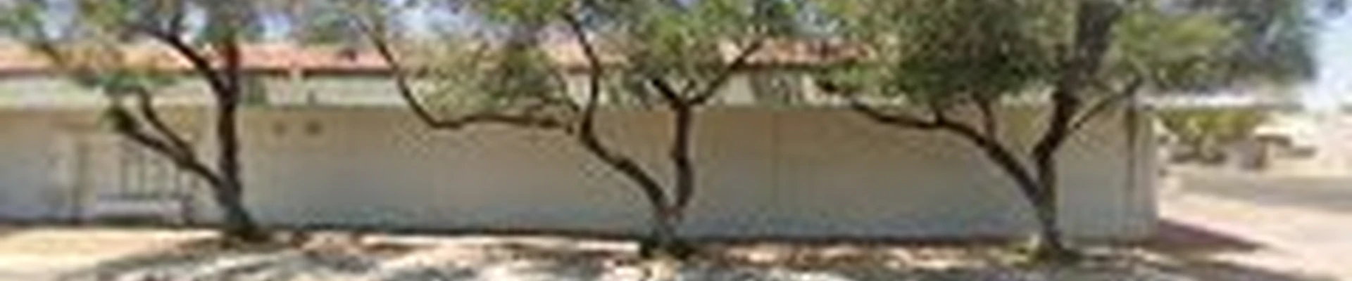 Ace Handyman Services Scottsdale PV
