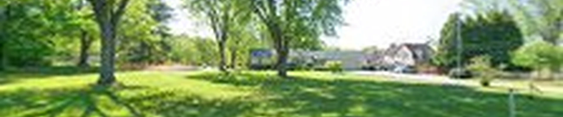 Venezia Electric Inc