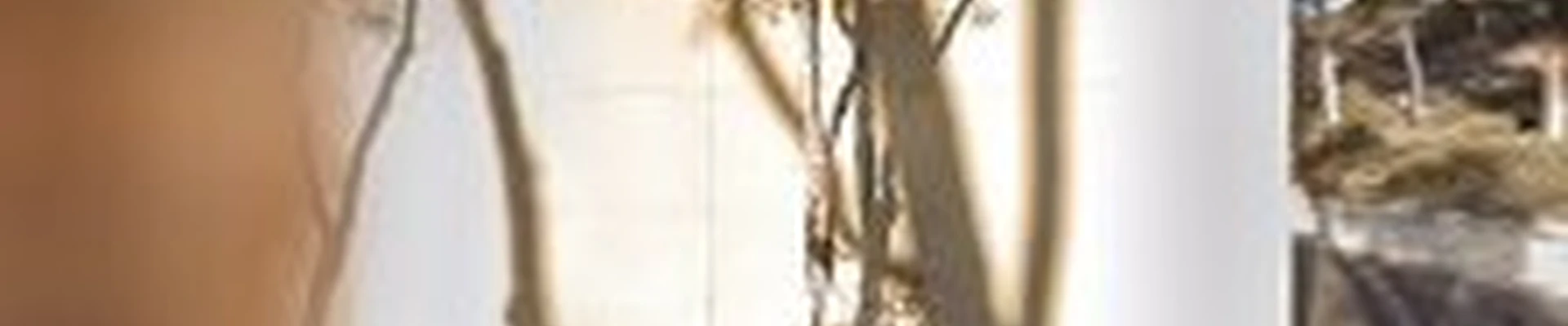 &