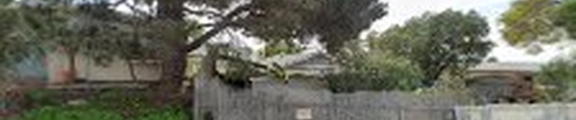Aldape G Landscaping Inc