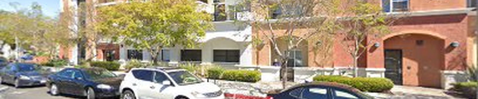 Renew Spark Painters