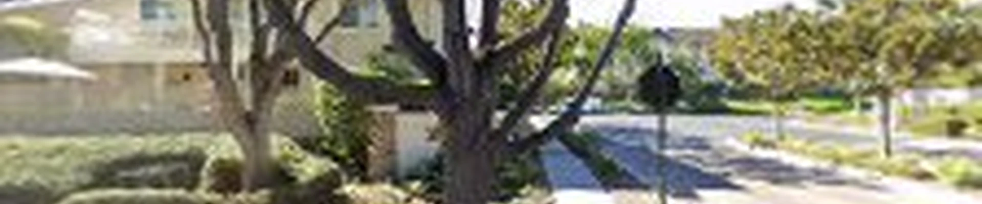 Apex American Homes