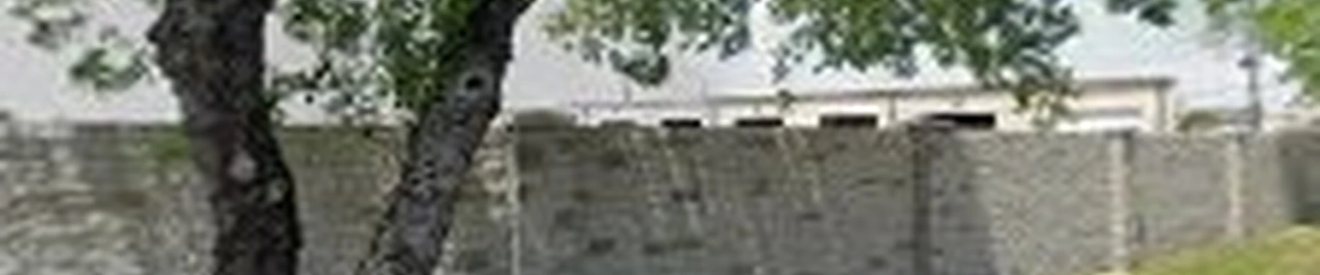 Texas Tap