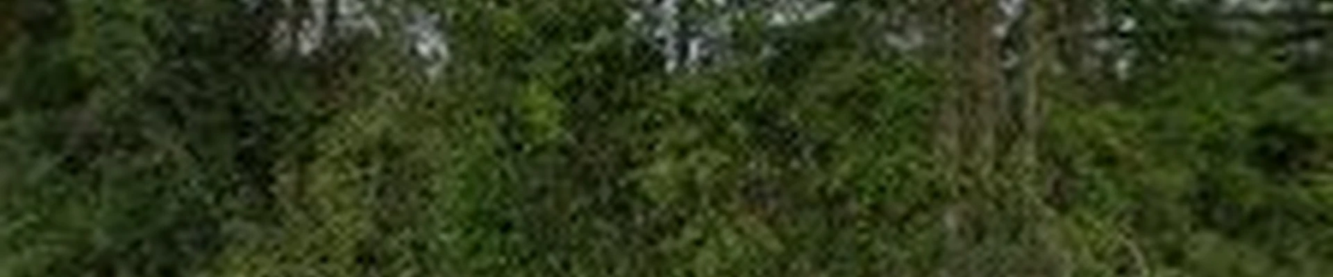 Townsend Electrical Contractors, LLC
