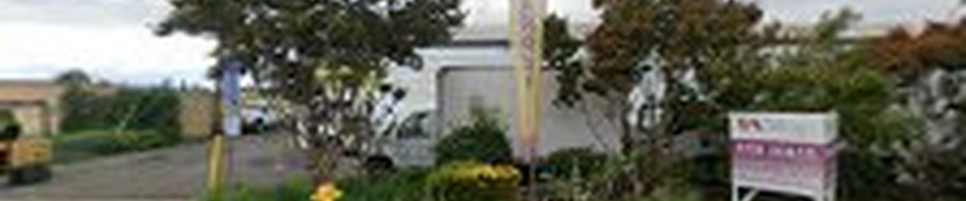 Pires Electric