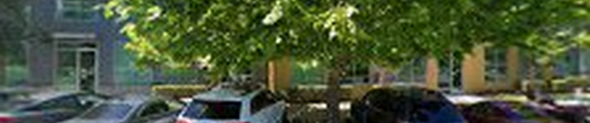 Ally Electric And Solar Inc