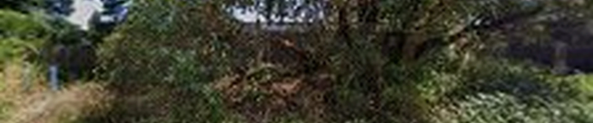 Puget Sound Electric Gates and Fences LLC