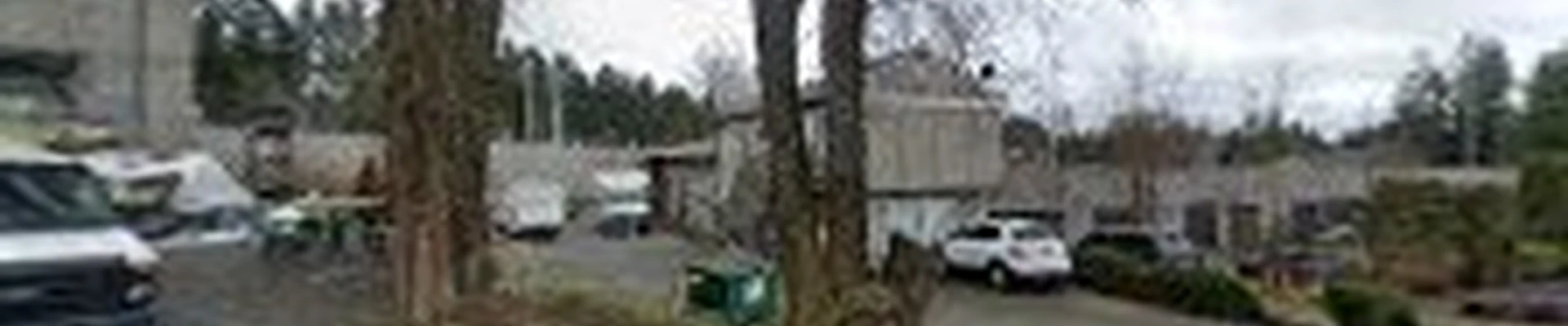 Pinnacle Roofing Professionals, LLC