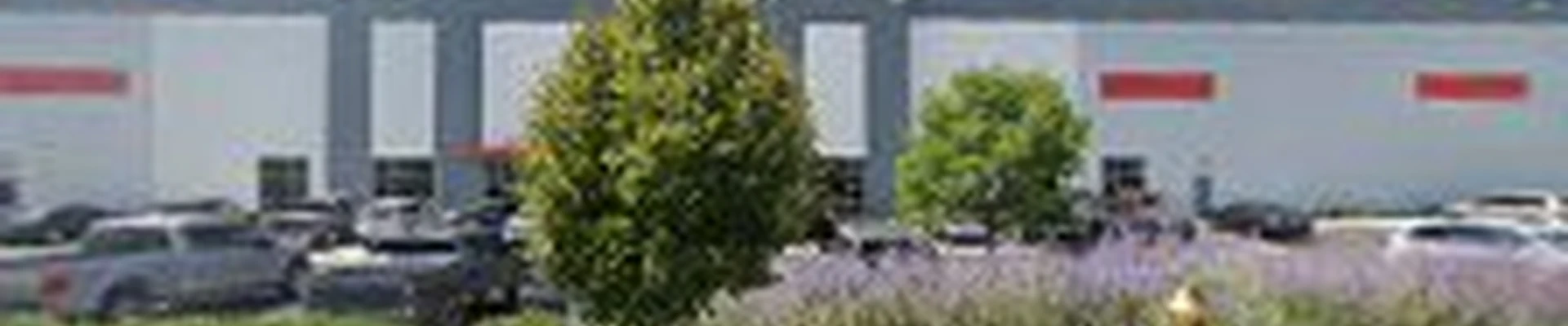 Wesco Distribution Inc