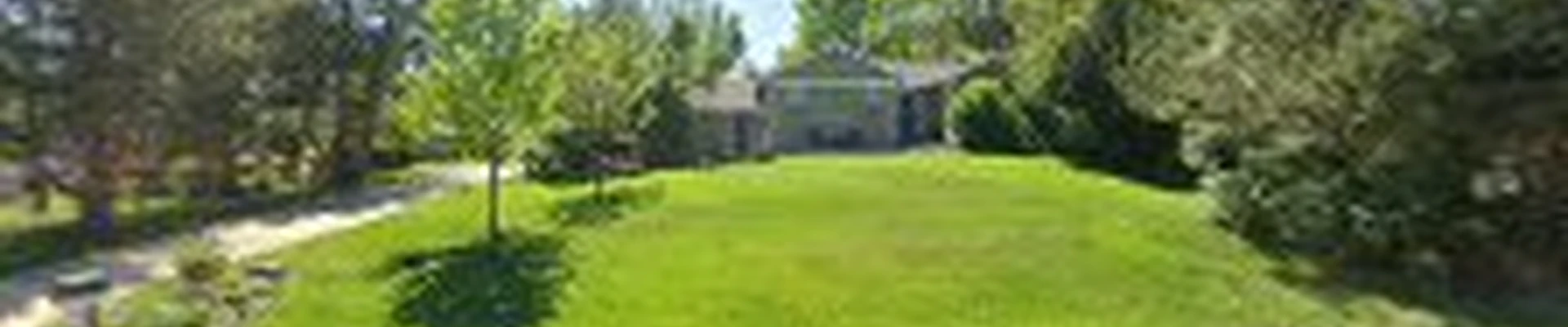 Niwot Electric