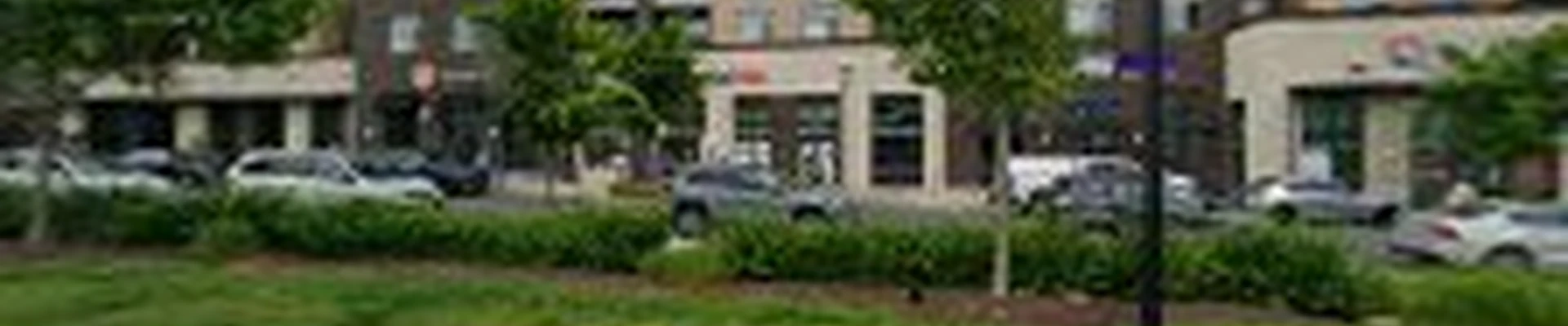 EV-Electric Services