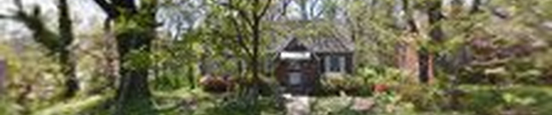 Savannah Appliances repair