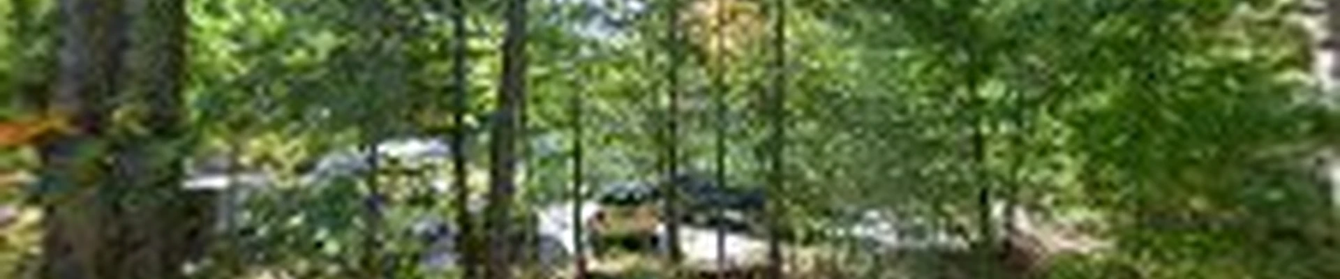Argento Electric, LLC