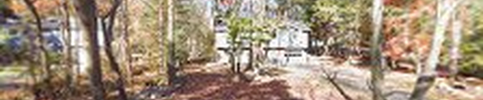 Bright Corp Painting & Contracting