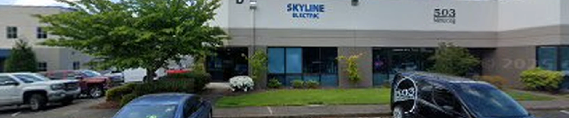Skyline Electric Company