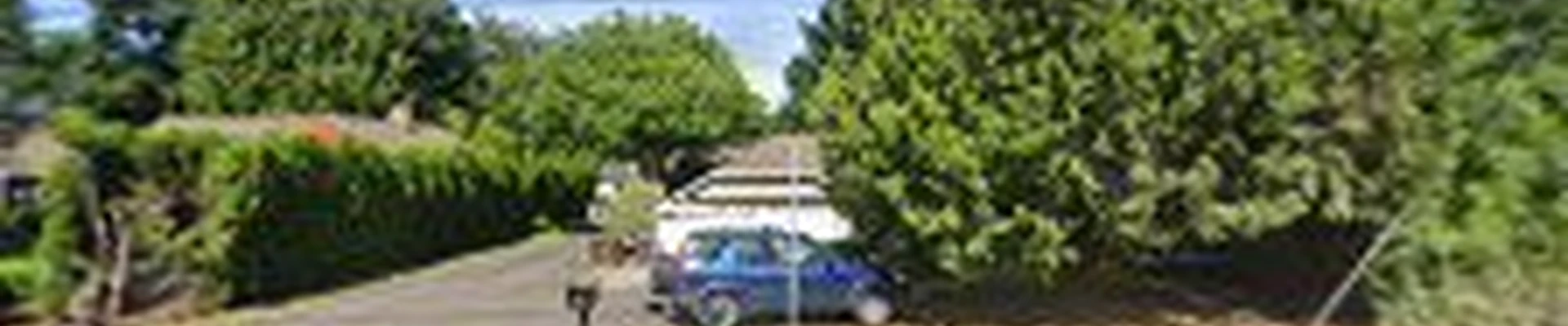 Milwaukie Electric