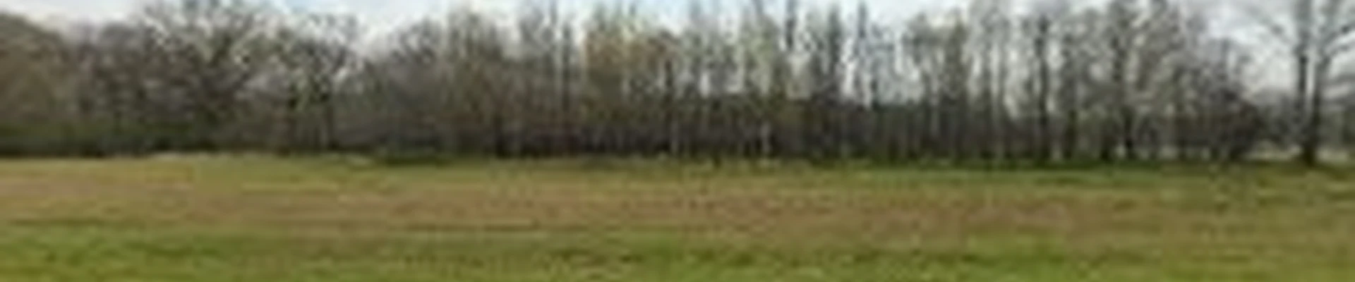Tennessee Electricians LLC