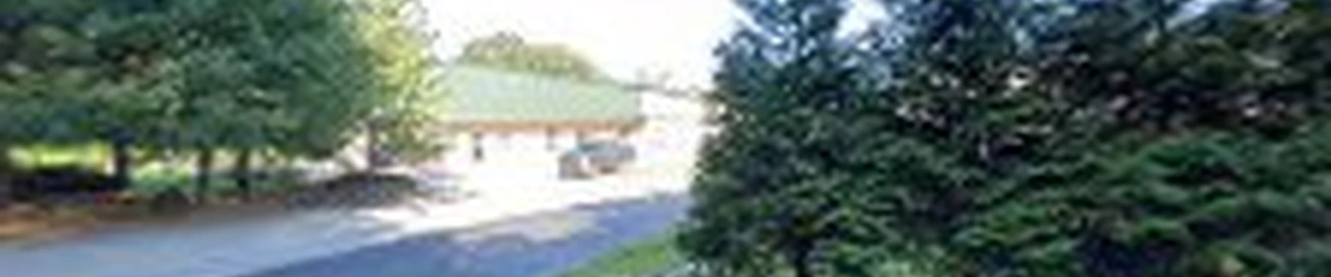 Consigli Electrical Services Inc