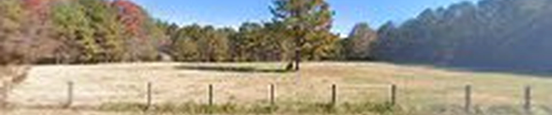Henry County Electric Services Company LLC