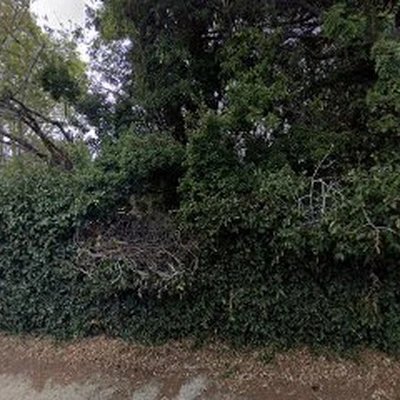 Laguna Woods Electric