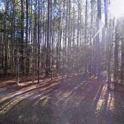 Advanced Electric of Chapel Hill
