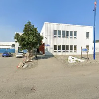 Alcan Electric & Engineering, Inc