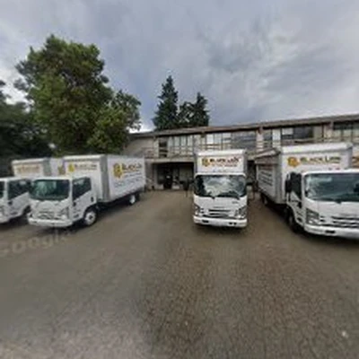 Black Lion Heating, Air Conditioning, & Electrical
