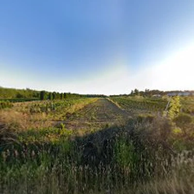Tierra Dura Construction